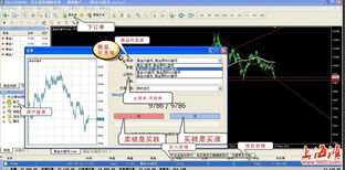 上海弘冠投资管理 黄金投资与中正金产品解析